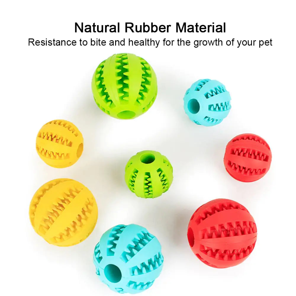Interactive Pets Rubber Balls